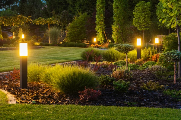 Landscape Lighting